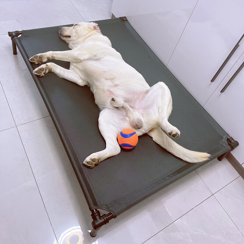 American Star Training Bed Pets Demovable Dog Bed in Summer Settlement Dog Bed Four Seasons General Pad Cat Dog
