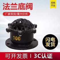 H42X-6 flange bottom valve check valve check valve cast iron water pump lotus fluffy head suction valve DN50 80100