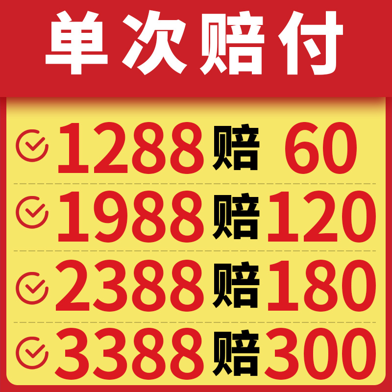 51 Shanghai License Plate Auction Agency Shanghai License Plate Bidding Service Shanghai License Plate Auction Company