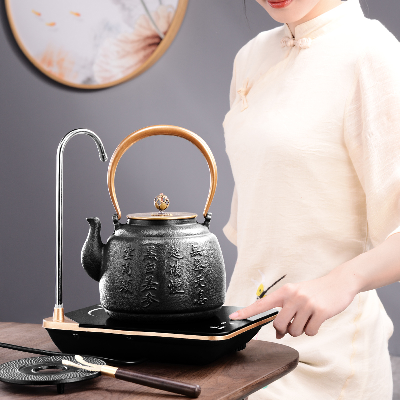 It still fang electric iron pot TaoLu household utensils suit imitated Japanese old pig iron pot of cast iron pot pot of fork by hand