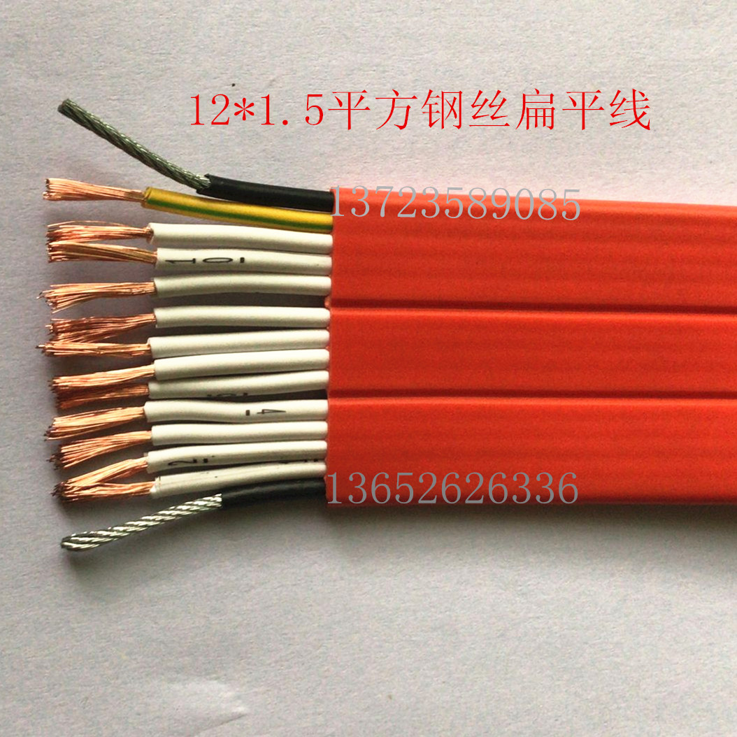 12 Core 1 5 squared steel wire flat wire Galvanic Crane Flat Wire Flat Wire Plated Dragon Door Slung Wire