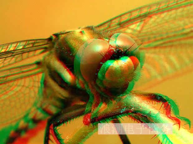 Lunettes 3D      - Ref 2621285 Image 9