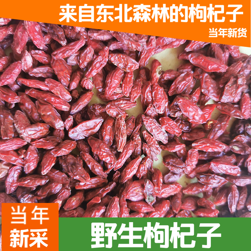 Northeast Changbai Mountain Wild Wolfberry Dry Free Tea Non Black Wolfberry Non Ningxia Zhongning meticulism Male Kidney