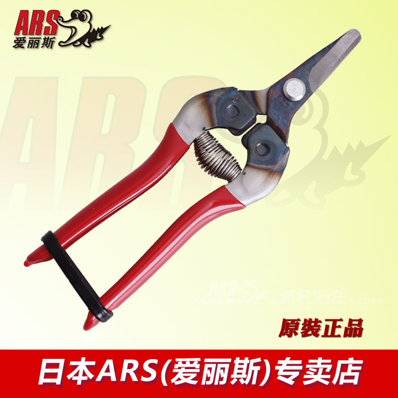 Japan Alice ARS 310 GARDEN TOOLS FRUIT CUT FRUITS AND VEGETABLES RARE FRUITS CUT GRAPES WITH FRUIT CUT