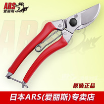 Japan imported Alice ARS 120S-8 fruit tree pruning shears Pruning shears garden pruning scissors