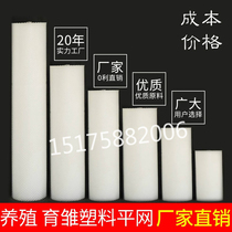 The whole roll of plastic flat net to raise faecal Net anti-falling net glue mesh foot pad raising chicken and duck brooding beekeeping net