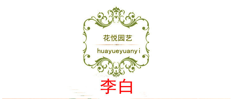 h2uXjfulzdRUjNJxf9q+kE+gm1+x9l9XXWsV