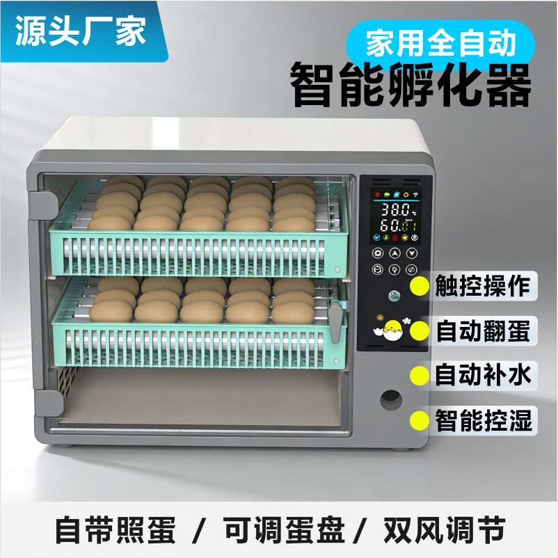 Jiayuインテリジェント孵卵器、小型家庭用全自動卵孵卵器、卵孵化場、Rutin鶏卵孵化ボックス