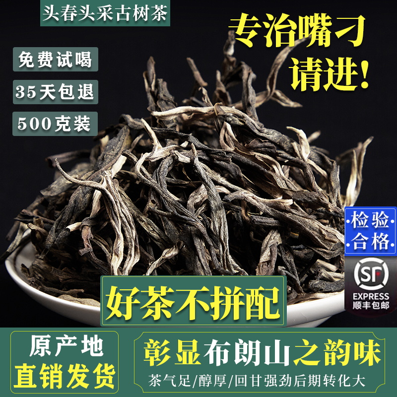 雲南省プーアル茶 生茶 茶葉 2025年初春 300本の古木1斤 孟海褐山プーアル生茶