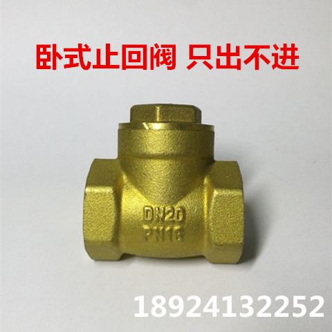 Brass check valve check valve check valve check valve horizontal check valve water pump water pipe tap water