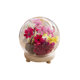 Glowing eternal flower glass cover dust cover diy decorative desktop ornaments dry flower transparent display box glass cover