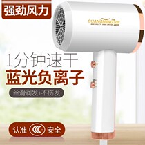 Light Electric Blow Home Blue Light Negative Ion Thermostatic Hair Care High Power Cold Hot Air Light Sound Speed Dry Hair Dryer