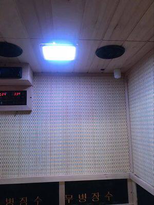 Physiotherapy Lamp Gold Rose Energy Stone Octagram Energy Stone