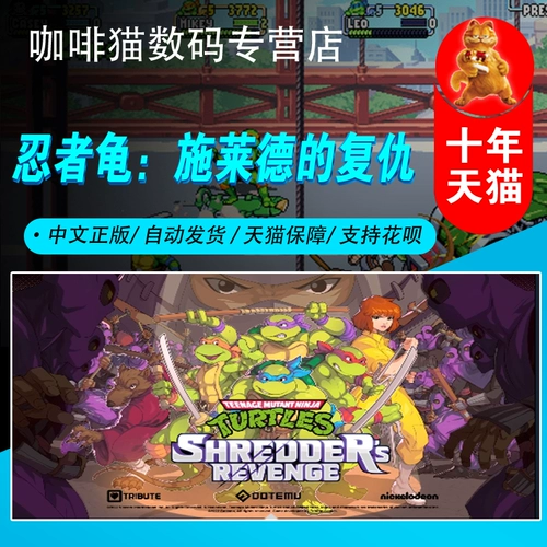 Steam Platform PC Истожная китайская игра ниндзя черепаха: мультиплеер Schlee's Meste 2d Ninja
