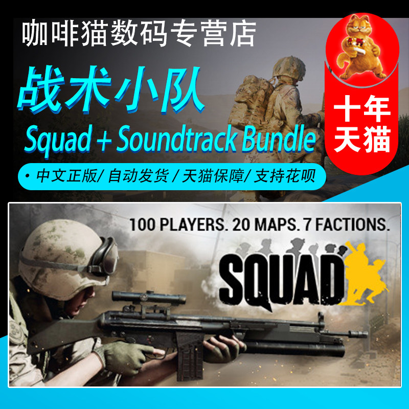STEAM PC genuine Squad Tactical Squad Action Team National area Global edition