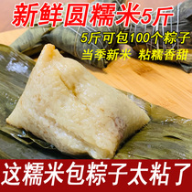 New white glutinous rice round grain white Jiangmi Dongbei New sticky rice end of rice dumplings rice rice rice year-old rice cake rice cake rice sticky glutinous 5 catty