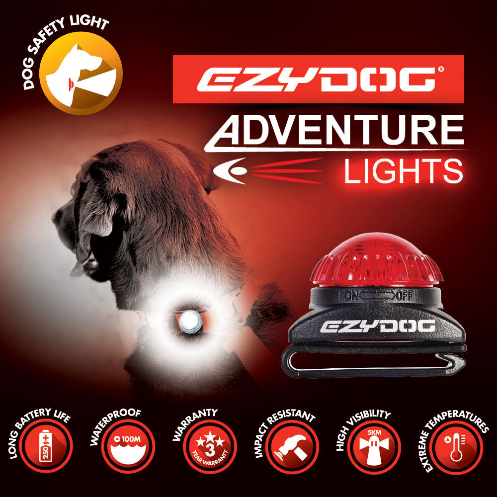 Australian EZYDOG Dog with Expedition Light Advanture Light Dogs Night Walk Dog Night Light Warning Lights