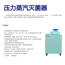 Pressure steam high temperature sterilizer pot automatic small experimental scientific research medical disinfection pot non-portable diagnosis beauty