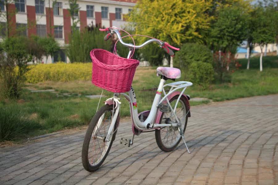 Panier pour vélo en vigne - Ref 2257871 Image 18