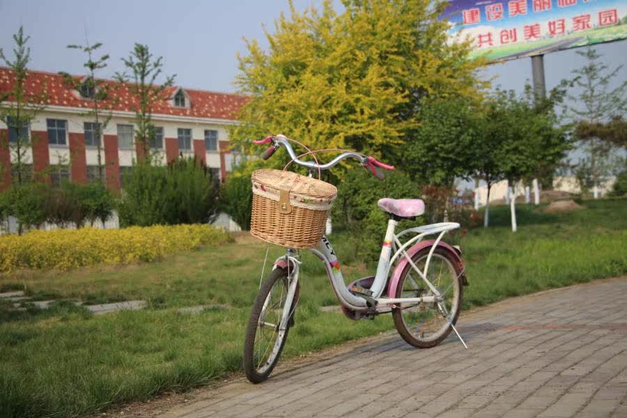 Panier pour vélo en vigne - Ref 2257871 Image 24