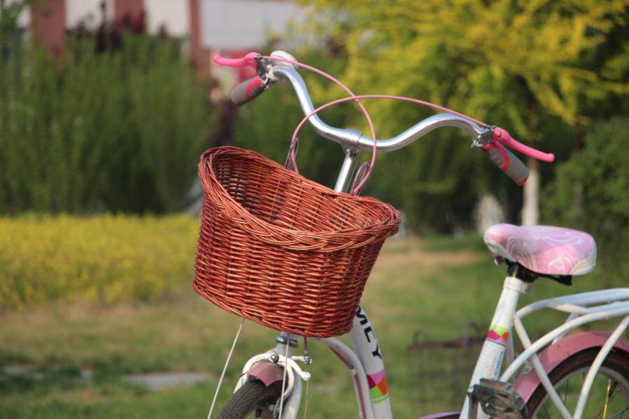 Panier pour vélo en vigne - Ref 2257871 Image 14