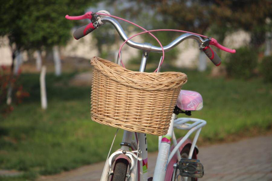 Panier pour vélo en vigne - Ref 2257871 Image 12