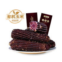 Tianqin Grains Net Aluminum Foil Black Waxy Corn Vacuum Sweet Sticky Corn on the Cob 260g*8 Pack of Miscellaneous Grains