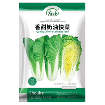 Shouhe sweet cream fast vegetable seeds vegetable seeds 10g rape seeds four seasons balcony green vegetables and cabbage