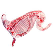 Jubilinburg Ningxia salt pond beach mutton fresh now kill 10 kilos of raw cut half sheep with leather sheep leg Shepherd gift box