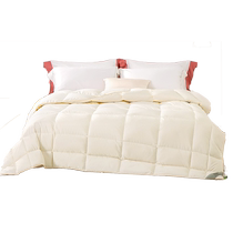 (Clearout Special) Meow Full Points Down Quilt White Goose Down Quilt Core Spring and Autumn Air Conditioning Quilt Winter Quilt Home Lightweight