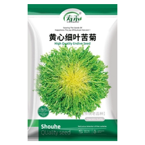 寿禾黄心细叶苦菊种子蔬菜种籽5g孑菜种菜籽苦苣盆栽籽种