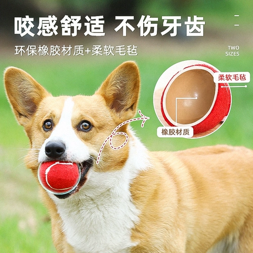 Игрушка для домашних животных, щенки для тенниса, собака, игрушки, шлифование зубов, избавление от скучных, маленьких крупных собачьих плюшевых пьесы, игра