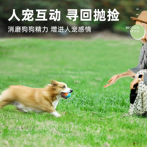 Игрушка для домашних животных, щенки для тенниса, собака, игрушки, шлифование зубов, избавление от скучных, маленьких крупных собачьих плюшевых пьесы, игра