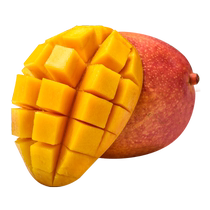 3 pounds of fresh imperial mangoes are picked Hainan tropical mangoes are in season and the whole box needs to be ripened