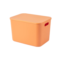 Oniyou storage box home car clothes toys snacks backup storage box storage box plastic storage basket