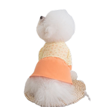 Floral Skirt Dog Cat Clothes Spring Thin British Shorthair Blue Cat Ragdoll Bichon Pet Summer Summer Clothes