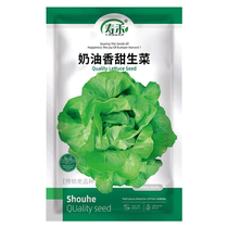 寿禾奶油香甜生菜种子蔬菜种籽10g孑菜种菜籽四季青菜籽种