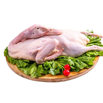 Xiangjia young teal (weighed) 2400g