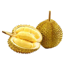 (Shiitake mushrooms are here) (Pre-sale) Meow Full Score Golden Pillow Durian imported from Thailand 7-8 pounds soft waxy and sweet