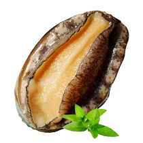 A little abalone (21-25 heads) of only a single one.