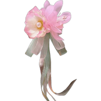 Hanfu headdress for girls ancient style hairpins ribbon clips girls ancient hair accessories baby hair open little girl princess