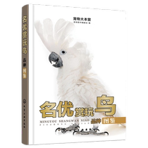 Illustrated Guide to Famous Bird Species - Pet Base Beginners Book on Bird Identification and Ornamentation Characteristics of Bird Species