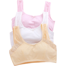 Childrens bra girls underwear developmental period primary school girl small vest big boy girl anti-bulge 10-12 years old