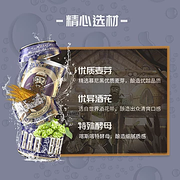 斯汀姆小麦精酿啤酒500ml*12[5元优惠券]-寻折猪