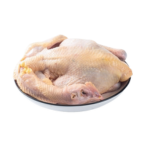 湘佳麻鸡称重约1300g鸡块食品优质新鲜食物肉质细腻