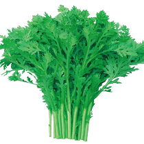 Suo-Wo Xiaoye Chrysanthemum Flowers of Artemisia Seeds Vegetable Seed Vegetable Seed 30g Seasons Seeds Green Vegetable Seed-Vegetable Pore of Rapeseed Old Variety