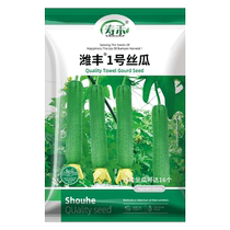 Shouhe Weifeng No. 1 luffa seeds vegetable seeds 20 pieces of luffa seeds meat luffa southern water melon