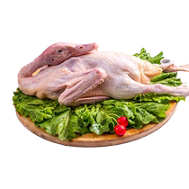 Xiangjia local duck (weighed) about 2000g duck