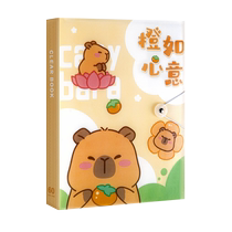 True color A4 folder information book test paper storage bag certificate collection book transparent insert loose-leaf special for primary school students