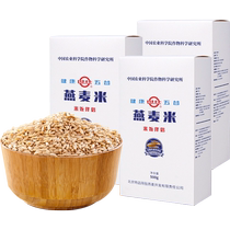 Chinese Academy of Agricultural Sciences Shizhuang Oatmeal Rice Companion 500g*3 boxes of whole grain rice breakfast health porridge small package
